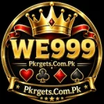 WE999 Game icon