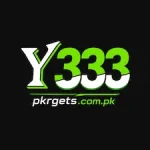 Y333 Game icon